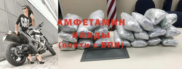 твердый Вяземский