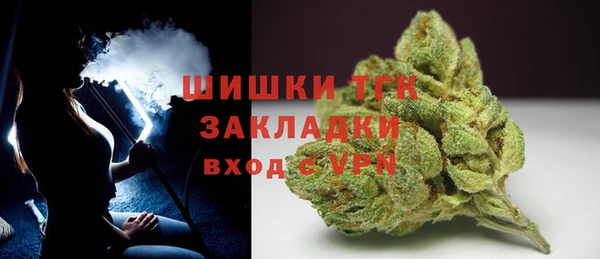 твердый Вяземский