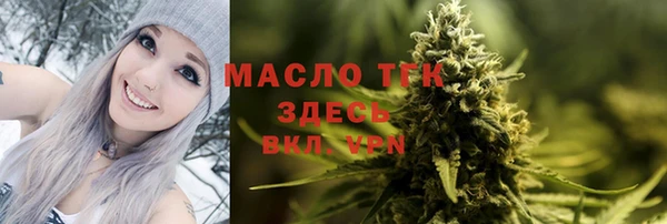 твердый Вяземский