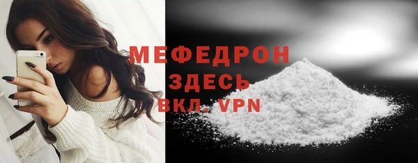 твердый Вяземский