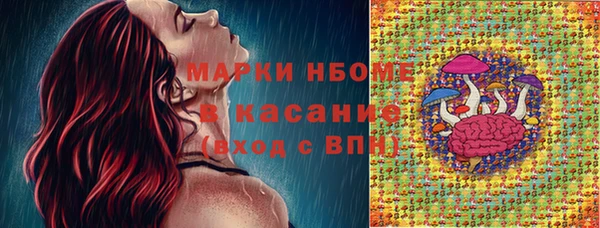 твердый Вяземский
