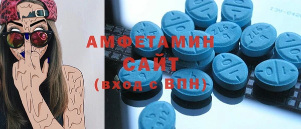твердый Вяземский