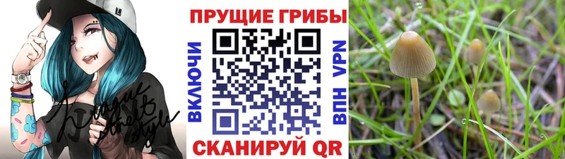 Купить закладки  Лангепас  Галлюциногенные грибы MAGIC MUSHROOMS 
